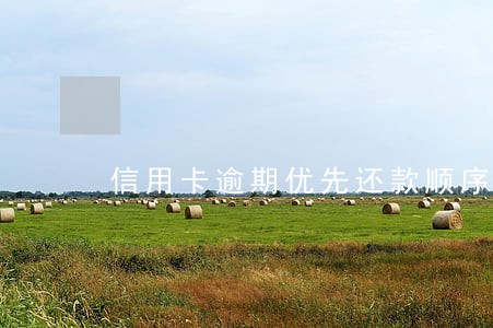 信用卡逾期优先还款顺序 信用卡逾期优先还款顺序