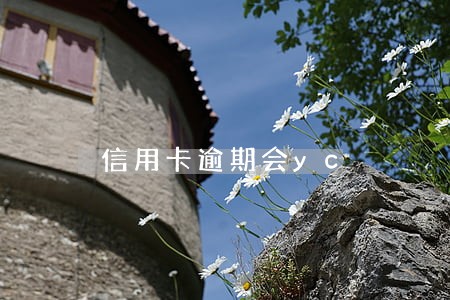 信用卡逾期会yc