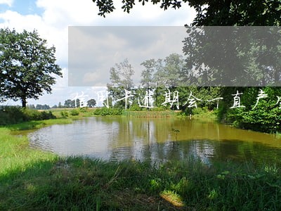 信用卡逾期会一直产生利息吗 信用卡逾期会一直产生利息吗