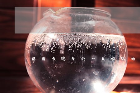 信用卡逾期会一直催收吗 信用卡逾期会一直催收吗