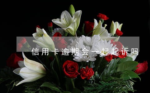 信用卡逾期会一起起诉吗 信用卡逾期会一起起诉吗