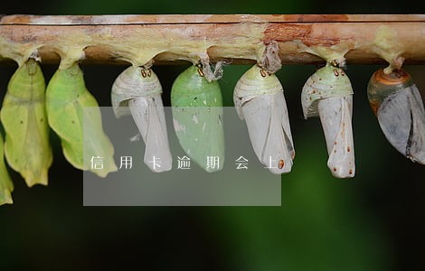 信用卡逾期会上 信用卡逾期会上