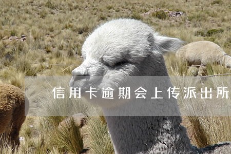 信用卡逾期会上传派出所吗 信用卡逾期会上传派出所吗