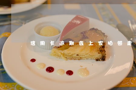 信用卡逾期会上家拍照走访吗