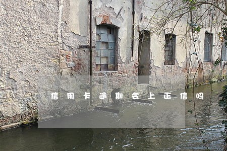 信用卡逾期会上正信吗 信用卡逾期会上正信吗