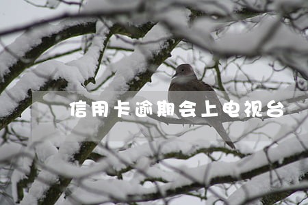 信用卡逾期会上电视台 信用卡逾期会上电视台