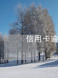 信用卡逾期会上门催收合法吗 信用卡逾期会上门催收合法吗