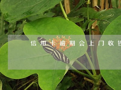 信用卡逾期会上门收钱