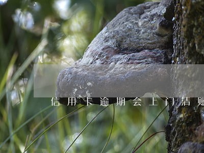 信用卡逾期会上门清账嘛 信用卡逾期会上门清账嘛