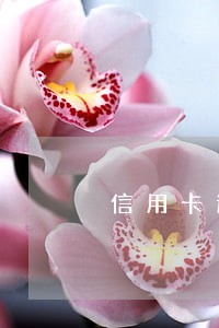信用卡逾期会下逮捕令吗