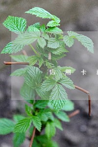 信用卡逾期会不会上门走访 信用卡逾期会不会上门走访