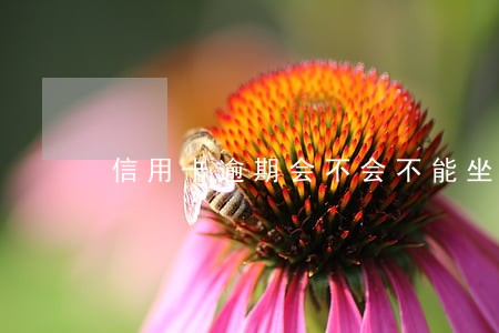 信用卡逾期会不会不能坐飞机 信用卡逾期会不会不能坐飞机