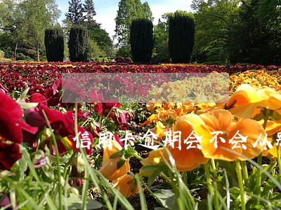 信用卡逾期会不会从别的银行扣钱