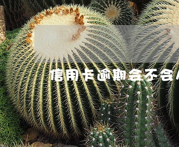 信用卡逾期会不会从银行卡扣款 信用卡逾期会不会从银行卡扣款