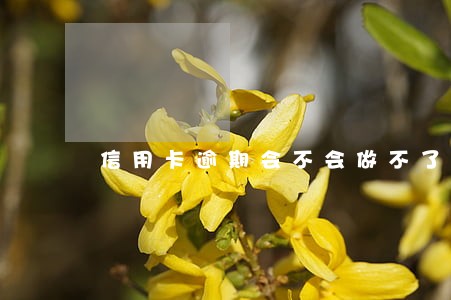 信用卡逾期会不会做不了高铁 信用卡逾期会不会做不了高铁