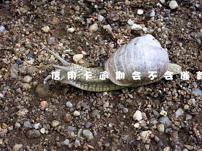 信用卡逾期会不会催款 信用卡逾期会不会催款