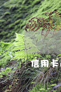 信用卡逾期会不会充不了话费 信用卡逾期会不会充不了话费