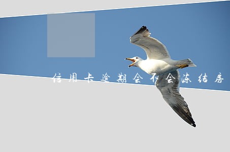 信用卡逾期会不会冻结房子 信用卡逾期会不会冻结房子