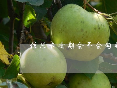 信用卡逾期会不会勾销 信用卡逾期会不会勾销