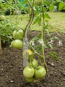 信用卡逾期会不会去公司找人 信用卡逾期会不会去公司找人