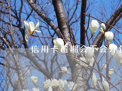 信用卡逾期会不会外包 信用卡逾期会不会外包