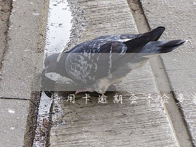 信用卡逾期会不会多家银行起诉你 信用卡逾期会不会多家银行起诉你
