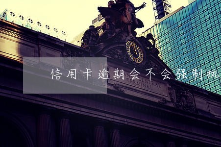 信用卡逾期会不会强制执行 信用卡逾期会不会强制执行