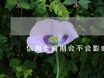 信用卡逾期会不会影响买票