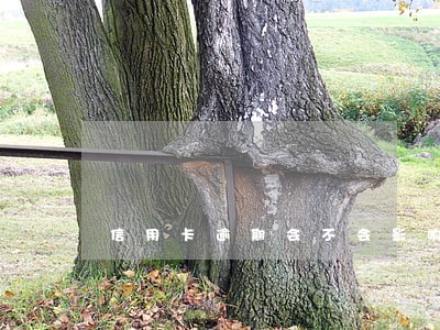 信用卡逾期会不会影响事业编 信用卡逾期会不会影响事业编