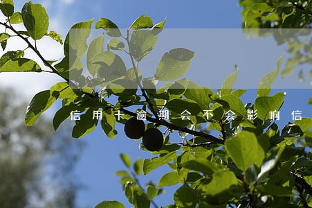 信用卡逾期会不会影响信用卡 信用卡逾期会不会影响信用卡