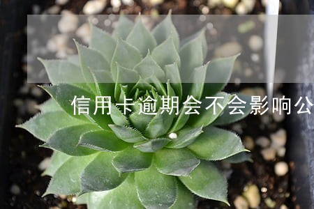 信用卡逾期会不会影响公务员晋升 信用卡逾期会不会影响公务员晋升