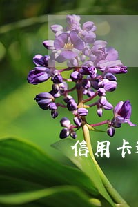 信用卡逾期会不会影响公司 信用卡逾期会不会影响公司