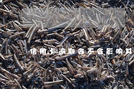 信用卡逾期会不会影响其他额度 信用卡逾期会不会影响其他额度