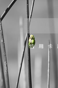 信用卡逾期会不会影响办贷款 信用卡逾期会不会影响办贷款