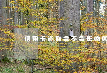 信用卡逾期会不会影响国企工作