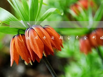 信用卡逾期会不会影响工作