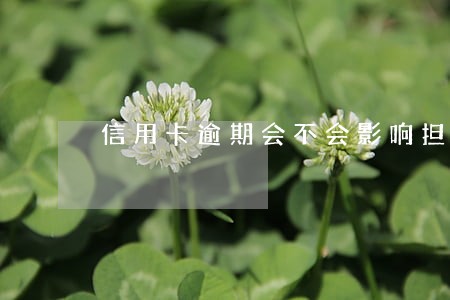 信用卡逾期会不会影响担保人