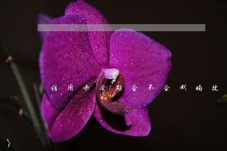 信用卡逾期会不会影响改名字 信用卡逾期会不会影响改名字