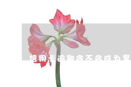 信用卡逾期会不会成为黑名单 信用卡逾期会不会成为黑名单