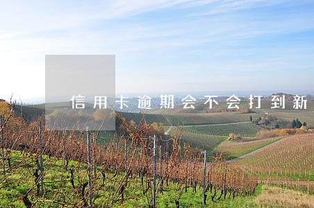 信用卡逾期会不会打到新单位 信用卡逾期会不会打到新单位