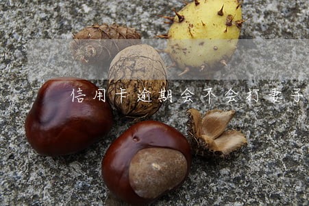 信用卡逾期会不会打妻子电话 信用卡逾期会不会打妻子电话