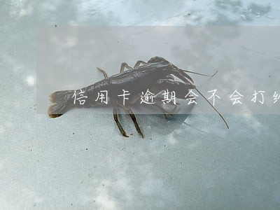 信用卡逾期会不会打给家人 信用卡逾期会不会打给家人