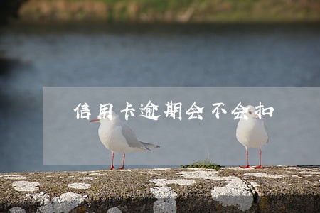 信用卡逾期会不会扣 信用卡逾期会不会扣