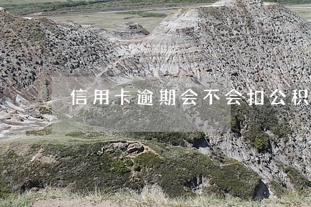信用卡逾期会不会扣公积金 信用卡逾期会不会扣公积金