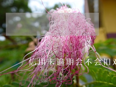 信用卡逾期会不会扣对象卡 信用卡逾期会不会扣对象卡