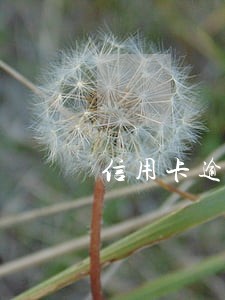 信用卡逾期会不会扣款 信用卡逾期会不会扣款