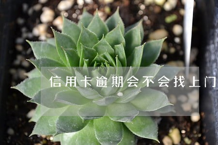 信用卡逾期会不会找上门