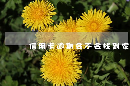 信用卡逾期会不会找到家里