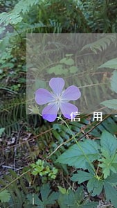 信用卡逾期会不会把摩托车扣了 信用卡逾期会不会把摩托车扣了