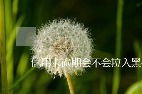 信用卡逾期会不会拉入黑名单